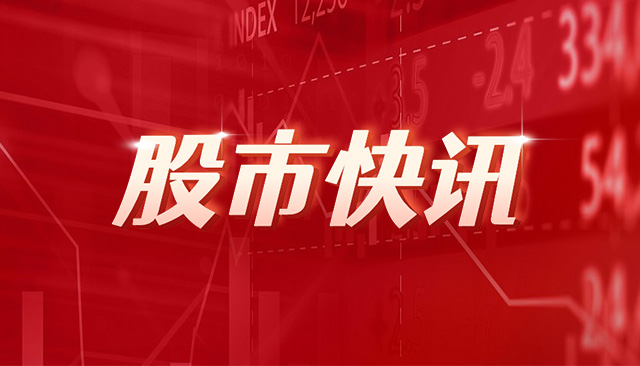 湘电股份：聘任金斌为公司副总经理